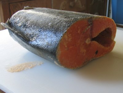 Thawed and ready to filet.